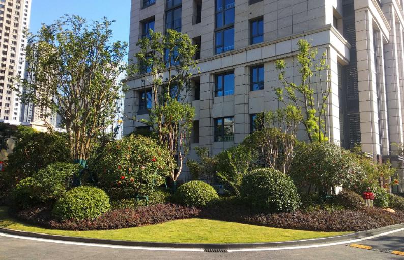 降溫了！湖北園林綠化公司分享植物萎蔫后的如何養護和復壯