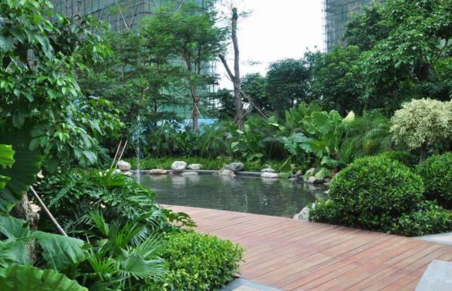 襄陽園林公司分享栽樹五大誤區，您中招了嗎？ 