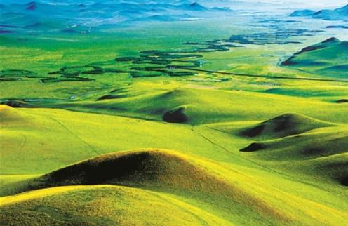 專家：如何發揮草地多功能助力國家公園建設？