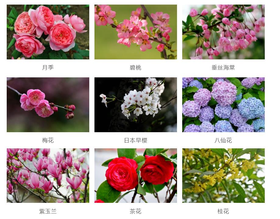 園林景觀工程如何節約成本？