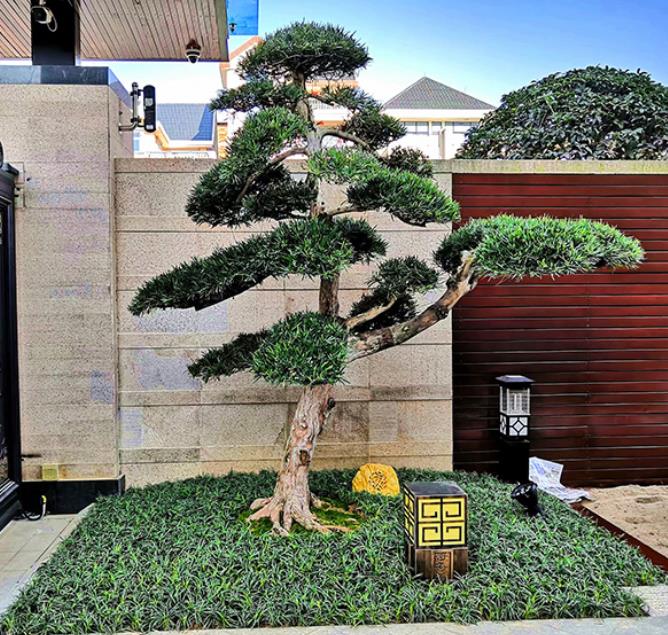 襄陽園林設(shè)計(jì)公司簡(jiǎn)單介紹園林植物景觀設(shè)計(jì)的要點(diǎn)